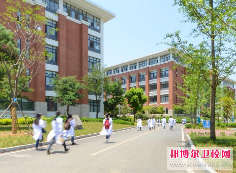 江蘇2024年就業(yè)最好的護理學(xué)校