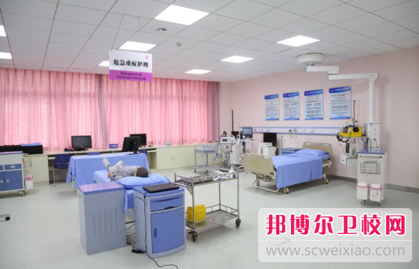 陜西2024年有幾個(gè)護理學(xué)校
