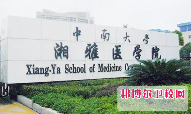 湖南2024年有沒(méi)有護理學(xué)校