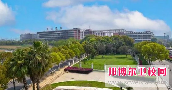 湖北2024年初中生考什么護理學(xué)校