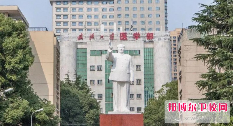 湖北2024年護理學(xué)校有哪些專(zhuān)業(yè)適合女生