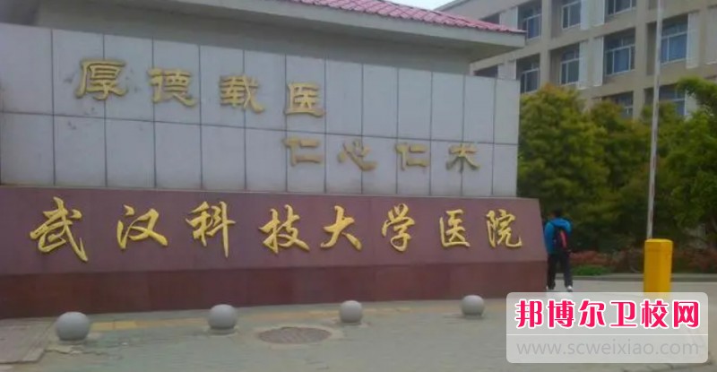 湖北2024年哪個(gè)護理學(xué)校就業(yè)好