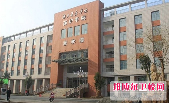 湖北2024年有哪些民辦護理學(xué)校