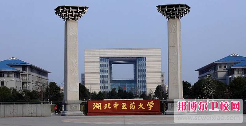 湖北2024年好點(diǎn)的護理學(xué)校