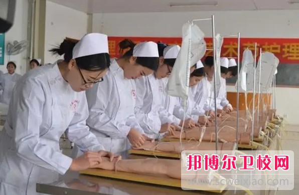 湖北2024年有沒(méi)有護理學(xué)校
