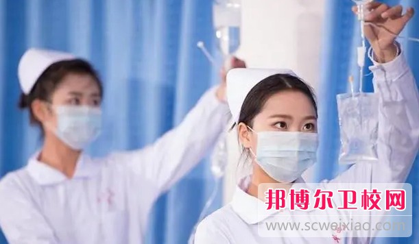 浙江2024年讀護理學(xué)?？刹豢梢钥即髮W(xué)